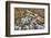 Merced River, Happy Isles, Yosemite, California-John Ford-Framed Photographic Print