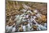 Merced River, Happy Isles, Yosemite, California-John Ford-Mounted Photographic Print