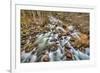 Merced River, Happy Isles, Yosemite, California-John Ford-Framed Photographic Print