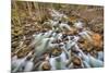 Merced River, Happy Isles, Yosemite, California-John Ford-Mounted Photographic Print