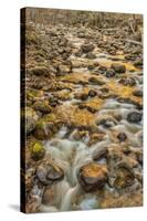 Merced River, Happy Isles, Yosemite, California-John Ford-Stretched Canvas