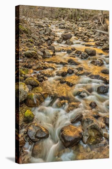 Merced River, Happy Isles, Yosemite, California-John Ford-Stretched Canvas