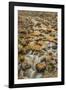 Merced River, Happy Isles, Yosemite, California-John Ford-Framed Photographic Print