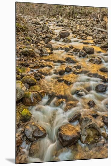 Merced River, Happy Isles, Yosemite, California-John Ford-Mounted Photographic Print