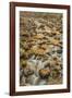 Merced River, Happy Isles, Yosemite, California-John Ford-Framed Photographic Print