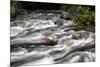 Merced River Swirls with white Foam. Yosemite National Park, California.-Tom Norring-Mounted Photographic Print