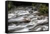 Merced River Swirls with white Foam. Yosemite National Park, California.-Tom Norring-Framed Stretched Canvas