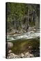 Merced River, Yosemite Valley, Yosemite National Park, California, USA-David Wall-Stretched Canvas