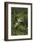 Merced River, Yosemite Valley, Yosemite NP, California-David Wall-Framed Photographic Print