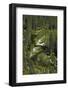 Merced River, Yosemite Valley, Yosemite NP, California-David Wall-Framed Photographic Print