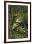 Merced River, Yosemite Valley, Yosemite NP, California-David Wall-Framed Photographic Print