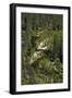 Merced River, Yosemite Valley, Yosemite NP, California-David Wall-Framed Photographic Print