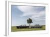 Mercedes 220 Sb, Type W 111, Year of Manufacture 1963, 105 Hp, and Mercedes 200-Bernd Wittelsbach-Framed Photographic Print