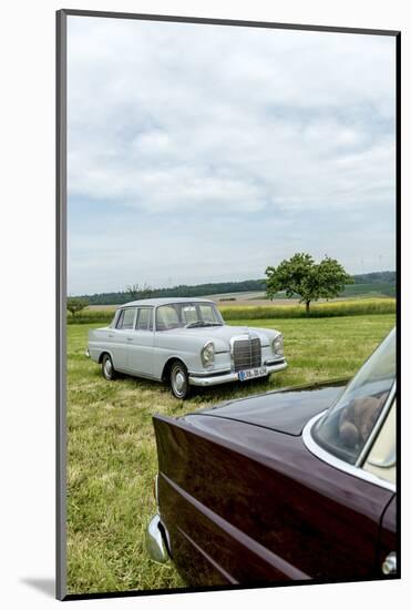 Mercedes 220 Sb, Type W 111, Year of Manufacture 1963, 105 Hp, and Mercedes 200-Bernd Wittelsbach-Mounted Photographic Print