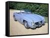 Mercedes 300SL Roadster, C1960-null-Framed Stretched Canvas