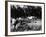 Mercedes-Benz Ss in Action at the Le Mans 24 Hours, France, 1930-null-Framed Photo