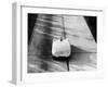 Mercedes-Benz Streamliner Car, 1938-null-Framed Photographic Print