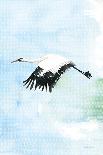 Crane in Flight I-Mercedes Lopez Charro-Art Print