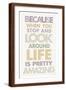 Brown Frame