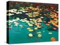 Stretched Canvas