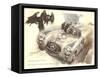 Mercedes Sportscar with Vultures-null-Framed Stretched Canvas