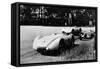 Mercedes Streamliner Cars Competing in the Avusrennen, Berlin, 1937-null-Framed Stretched Canvas