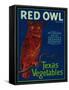 Mercedes, Texas - Red Owl Vegetable Label-Lantern Press-Framed Stretched Canvas
