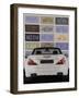 Mercedes-Clayton Rabo-Framed Giclee Print