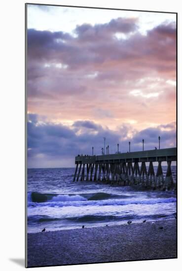 Mercer's Pier III-Alan Hausenflock-Mounted Photographic Print