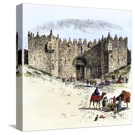 Stretched Canvas Print, , large