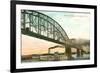 Merchants Bridge, St. Louis, Missouri-null-Framed Art Print