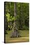 Merchants Millpond State Park, North Carolina-Paul Souders-Stretched Canvas