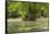 Merchants Millpond State Park, North Carolina-Paul Souders-Framed Stretched Canvas