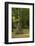 Merchants Millpond State Park, North Carolina-Paul Souders-Framed Photographic Print