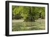 Merchants Millpond State Park, North Carolina-Paul Souders-Framed Photographic Print