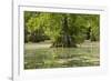 Merchants Millpond State Park, North Carolina-Paul Souders-Framed Photographic Print