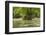 Merchants Millpond State Park, North Carolina-Paul Souders-Framed Photographic Print