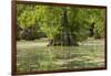 Merchants Millpond State Park, North Carolina-Paul Souders-Framed Photographic Print