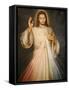 Merciful Christ, Paris, France, Europe-Godong-Framed Stretched Canvas