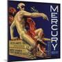 Mercury Brand - Redlands, California - Citrus Crate Label-Lantern Press-Mounted Art Print