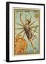 Mercury-null-Framed Giclee Print