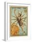 Mercury-null-Framed Giclee Print