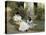 Mère et fille dans un jardin breton-Edouard-Bernard Debat-Ponsan-Stretched Canvas