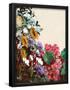 Essential Black