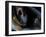 Merging Black Holes-null-Framed Photographic Print