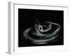 Merging Black Holes-null-Framed Photographic Print