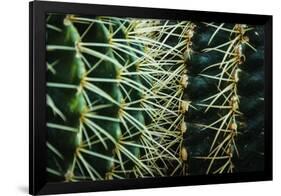 Merging Rows Of Cactus Needles-Anthony Paladino-Framed Premium Giclee Print