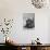 Merimee Photo-null-Photographic Print displayed on a wall