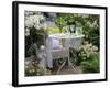 Meringues and Woodruff Punch on Romantic Garden Table-Friedrich Strauss-Framed Photographic Print