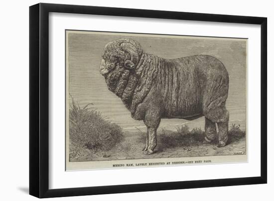 Merino Ram, Lately Exhibited at Dresden-null-Framed Giclee Print